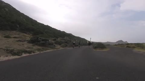 Cyclists chased by an ostrich in Africa
