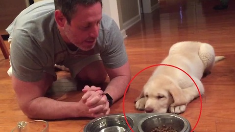 Puppy prays with owner before dinner
